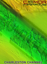 Load image into Gallery viewer, CMOR MAPPING SOUTH ATLANTIC (PREVIOUSLY NORTH FLORIDA, GEORGIA, AND SOUTH CAROLINA V2) 3D RELIEF SHADING CMOR CARD For Raymarine