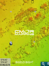Load image into Gallery viewer, CMOR MAPPING GULF OF MAINE For Simrad, Lowrance, B&G, Mercury Vessel View