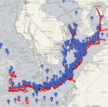 Load image into Gallery viewer, Strikelines Tampa Bay Waypoints