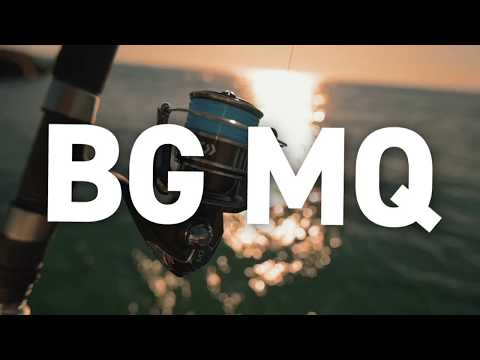 BG MQ Spinning Reel 6000D-H