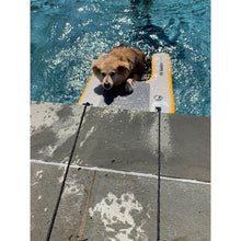 Load image into Gallery viewer, Solstice Watersports Inflatable PupPlank Dog Ramp - Mini [33424]
