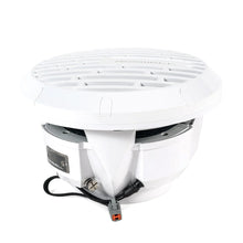Load image into Gallery viewer, Roswell R1 10&quot; Subwoofer - White - 250W RMS  500W Peak Power [C920-1800]
