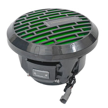Load image into Gallery viewer, Roswell R1 10&quot; Subwoofer - Anthracite - 250W RMS  500W Peak Power [C920-1802]
