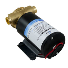 Load image into Gallery viewer, Albin Group Marine General Purpose Pump FIP F4 - 24V - 12 GPM [04-01-006]

