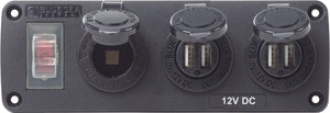 PANEL ACC H2O 2 USBS & SCKT