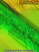 Load image into Gallery viewer, CMOR MAPPING SOUTH ATLANTIC (PREVIOUSLY NORTH FLORIDA, GEORGIA, AND SOUTH CAROLINA V2) 3D RELIEF SHADING CMOR CARD for Simrad, Lowrance, B&amp;G, Mercury Vessel View
